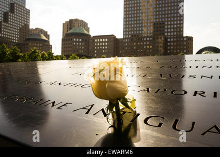 Namen eingraviert in Bronzetafeln mit Rose am National September 11 Memorial & Museum in New York City, USA. Stockfoto