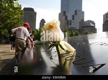 Namen eingraviert in Bronzetafeln mit Rose am National September 11 Memorial & Museum in New York City, USA. Stockfoto