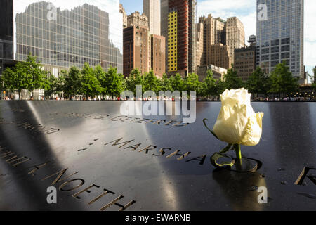 Namen eingraviert in Bronzetafeln mit Rose am National September 11 Memorial & Museum in New York City, USA. Stockfoto