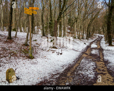 Eine Spur, ausgeführt durch verschneite Wälder in der Schweiz, mit Schild und Meilenstein (unten links) Stockfoto