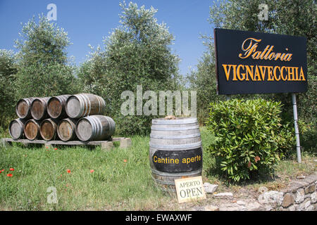 Weinberg zu öffnen, für die breite Öffentlichkeit für die Weinprobe am Rande der "Radda in Chianti", eine schöne kleine Stadt und ein berühmter Stockfoto