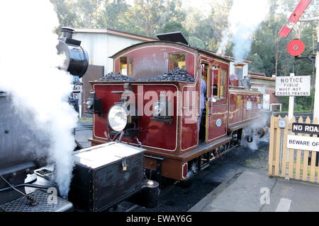 Puffing Billy Steam Train bei Dandenong reicht Victoria Australia Stockfoto