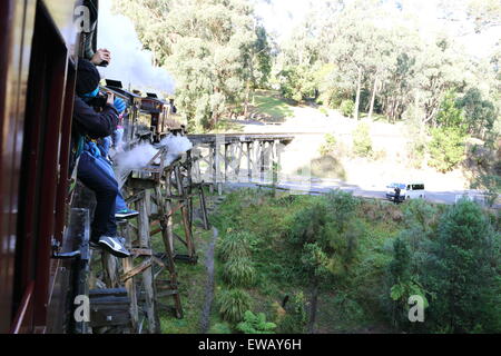 Puffing Billy Dampfzug auf Trestle Bridge Belgrave Victoria Australien Stockfoto