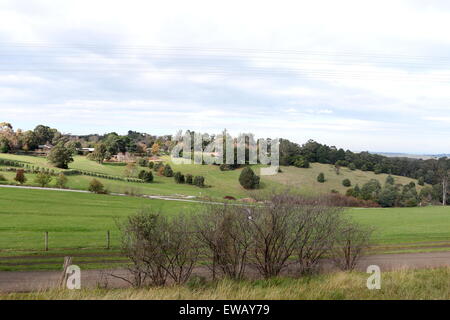 Landschaft rund um Gembrook Dandenong Ranges Victoria Australien Stockfoto