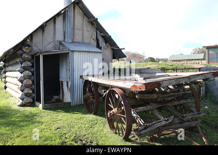Altes Holzhaus mit Ochsenkarren in Land Victoria Australien Stockfoto