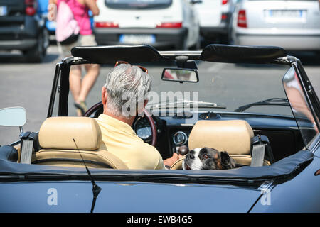 Hund im Oldtimer, Alfa Romeo 1600 bei Oldtimer Auto/Motorrad Rallye Piazzale, Quadrat Michelangelo mit Blick auf Firenze / Florenz Stockfoto