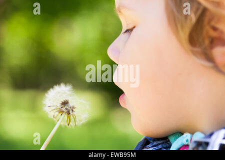 Kaukasische blonde Baby Mädchen und Löwenzahn Blume in einem Park, selektiven Fokus auf Lippen Stockfoto