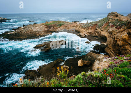 Blick auf eine Bucht am Point Lobos State Natural Reserve, in Carmel, Kalifornien. Stockfoto