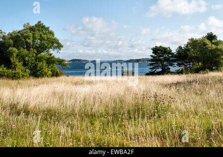 Norwegen - Sommer auf der Insel Søndre Sandøy, eines der Hvaler Inseln südlich von Oslo in der Nähe von der schwedischen Küste Stockfoto