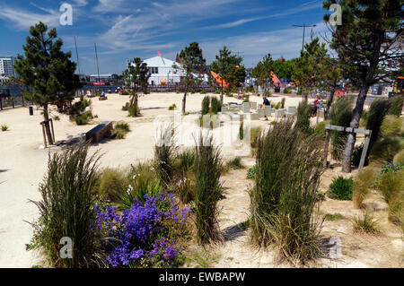 Park und Extreme Sailing Event, Bucht von Cardiff, Cardiff, Wales, UK. Stockfoto