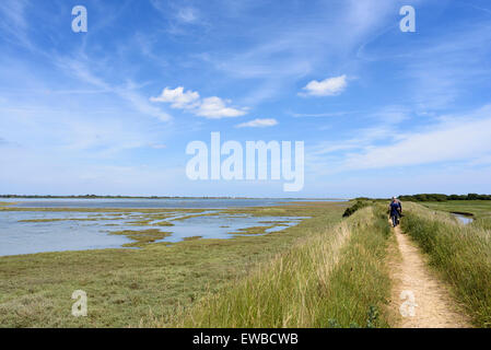 Pagham Harbour, West Sussex, England, eine RSPB Naturschutzgebiet bei Flut lockt Vogelbeobachter und Fotografen. Stockfoto