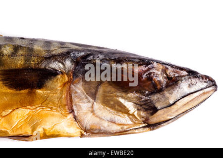 Schöne geräucherte Makrele. Empfindliche Fische für die warme und kalte Küche Stockfoto