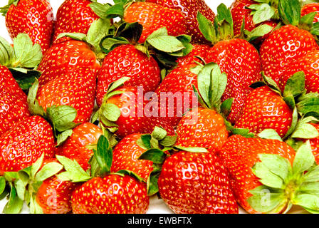 Frische reife Erdbeeren Full-Frame-Hintergrund Stockfoto