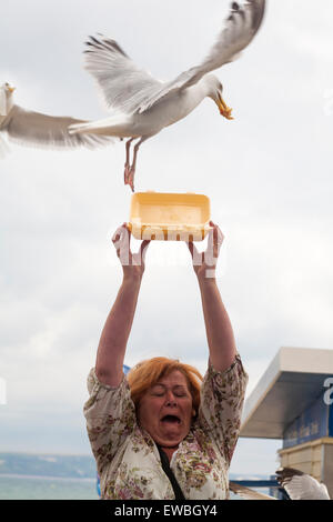 Verrückte Frau, die im Juni in Weymouth, Dorset, Großbritannien, Reste von Fisch und Chips in einem Karton aus Polystyrol über ihren Kopf hielt, um Möwen zu füttern Stockfoto