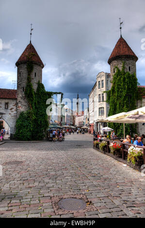 Altstadt von Tallinn Estland Viru Tor Stockfoto