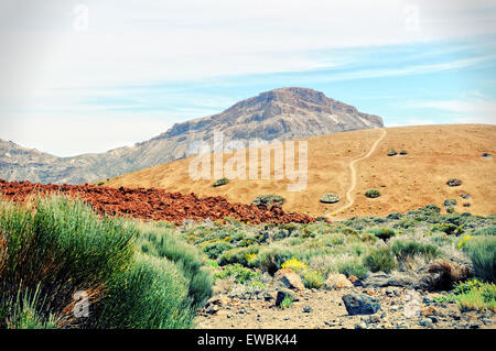 Weg durch den Nationalpark Teide auf Teneriffa. HDR Stockfoto