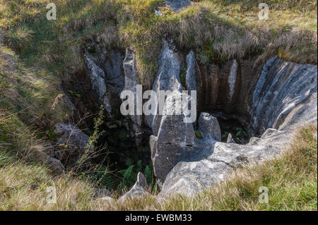 Geriffelte Schlagloch Mutterschafe Top Ingleton Stockfoto