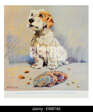 Portrait von Mall beige und White Terrier mit gekaut Slipper Stockfoto