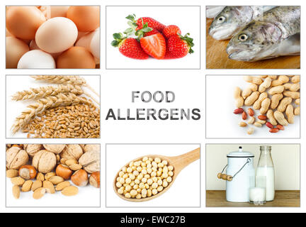 Allergie-Food-Konzept. Nahrungsmittelallergene wie Eiern, Milch, Obst, Baumnüsse, Erdnüsse, Soja, Weizen und Fisch. Text "Lebensmittel-Allergene" leicht zu Stockfoto