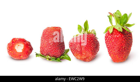 Vier Erdbeeren in Folge isoliert auf weißem Hintergrund Stockfoto