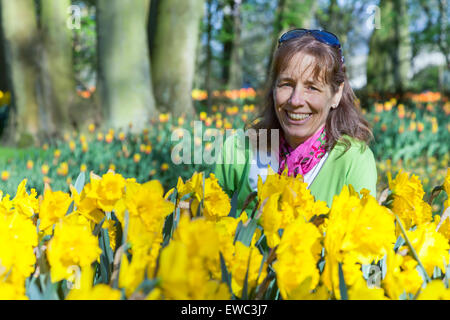 Kaukasische Frau saß hinter gelben Narzissen Blumenfeld im Keukenhof Holland park Stockfoto