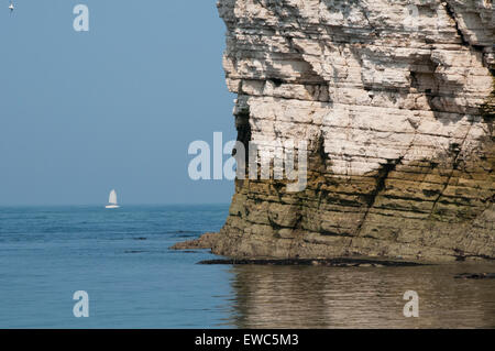 Malerische Sommer Blick von hoch aufragenden Kreide Klippen (Landzunge) & kleine weiße Yacht am Horizont mit strahlend blauen Meer & Sky - Flamborough Küste, England, UK. Stockfoto