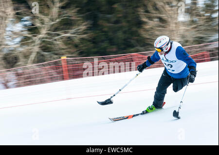 Ein behinderter Konkurrent mit speziell angepassten Skiausrüstung, Rennen bergab. Stockfoto