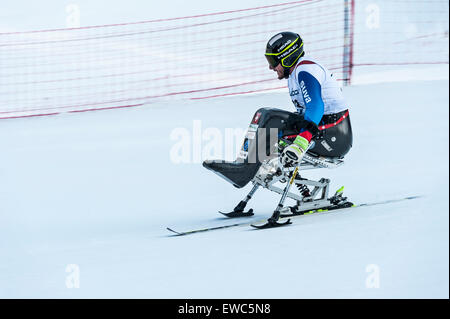 Ein behinderter Konkurrent mit speziell angepassten Skiausrüstung, Rennen bergab in ein Riesenslalom-Rennen Stockfoto