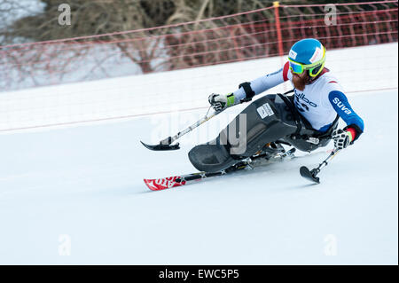 Ein behinderter Konkurrent mit speziell angepassten Skiausrüstung, Rennen bergab in ein Riesenslalom-Rennen Stockfoto