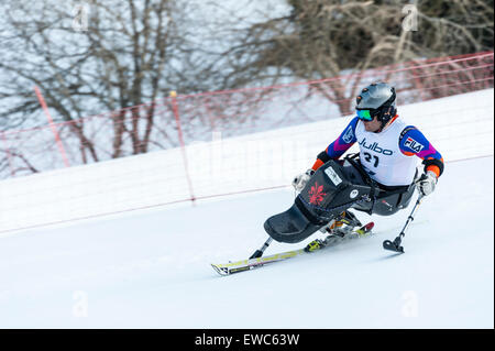 Ein behinderter Konkurrent mit speziell angepassten Skiausrüstung, Rennen bergab in ein Riesenslalom-Rennen Stockfoto