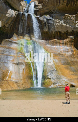 Man erwägt Lower Calf Creek Falls, Grand Staircase-Escalante National Monument, Utah, USA Stockfoto