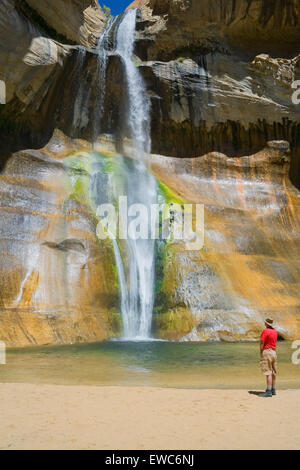 Man erwägt Lower Calf Creek Falls, Grand Staircase-Escalante National Monument, Utah, USA Stockfoto