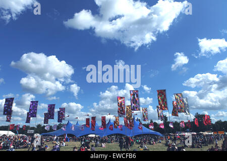 Musikfestival WOMAD-Fahnen Stockfoto
