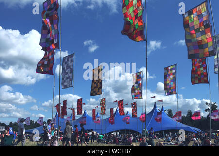 Musikfestival WOMAD-Fahnen Stockfoto