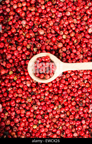 Schöne Nahaufnahme Auswahl von roter Paprika Stockfoto