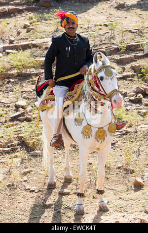 Marwari Pferde. Dominanten weißen Pferd tanzen dekoriert mit bunten Kopfbedeckungen mit seinem stolzen Besitzer. Rajasthan, Indien Stockfoto