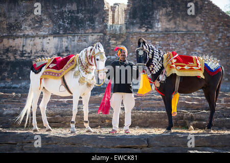 Marwari Pferde. Paar verzierte tanzenden Pferden mit stolzer Besitzer. Rajasthan, Indien Stockfoto
