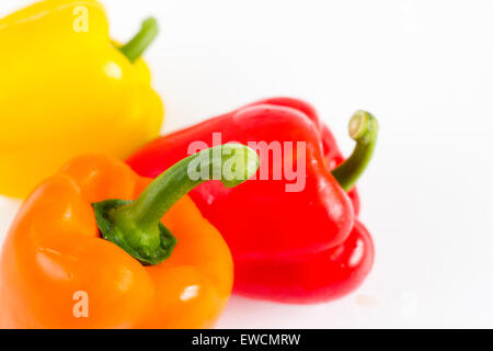Drei frische süße Paprika, Paprika, auf einem weißen Hintergrund mit Exemplar Stockfoto