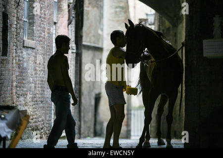 Siena gliedert sich in 17 Bezirke, bekannt als Contrade, und kämpfen sie, zehn von den Bezirken zu einer Zeit, in der zweimal ein Jahr, am 2. Juli und 16. August Pferderennen um den zentralen Platz Campo. Hier bekommt ein Pferd eine Bürsten vor dem Palio-Pferderennen. Siena, Toskana. Italien. Juli. Stockfoto