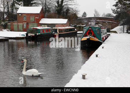 Narrowboats vertäut am Shropshire-Union-Kanal in Market Drayton, Shropshire Stockfoto