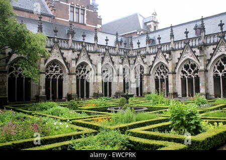 Botanischer Garten und Innenhof (Pandhof) der gotische Dom Kirche oder St. Martins Dom, Utrecht, Niederlande. Stockfoto