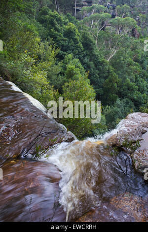 Wasser Rauschen oberhalb des Kellys Wasserfall in Garawarra State Conservation Area, New South Wales, Australien Stockfoto