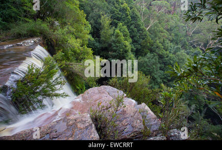 Kellys Falls Wasserfall, Garawarra State Conservation Area, in der Nähe von Stanwell Tops, NSW, Australien Stockfoto
