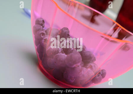 Heidelbeeren in eine moderne rosa Plastikschüssel Stockfoto