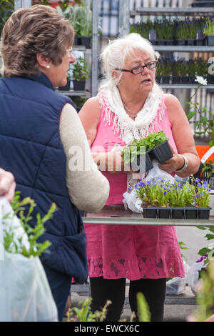 Pflanze Stand Halter servieren Kunden am Marktstand in Dorchester, Dorset, Großbritannien im Juni Stockfoto