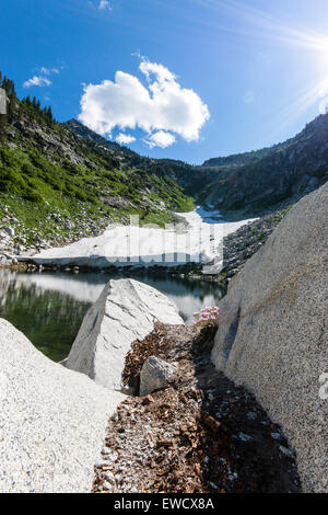 Ein Blick auf Gletscher in der Nähe der verbotenen Seen, hoch in der Dreiheit-Alpen-Wildnis Stockfoto