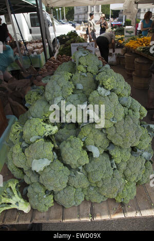 Frischer Brokkoli zum Verkauf auf dem Bauernmarkt in Park Slope, Brooklyn, NY. Stockfoto