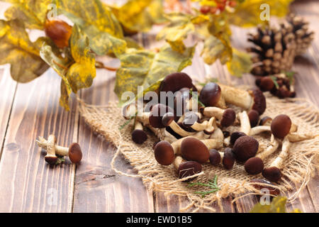 Speisepilze (Agrocybe Aegerita) im Korb auf Holztisch. Stockfoto