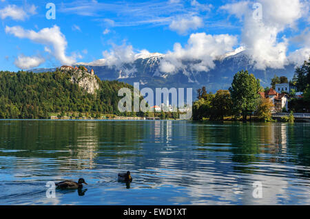 Slowenien, Region Gorenjska, See Bled Stockfoto