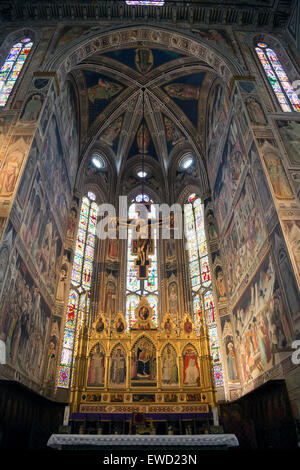 Die Hauptkapelle, Capella Maggiore, Basilica di Santa Croce, Basilika des Heiligen Kreuzes, Florenz, Italien Stockfoto